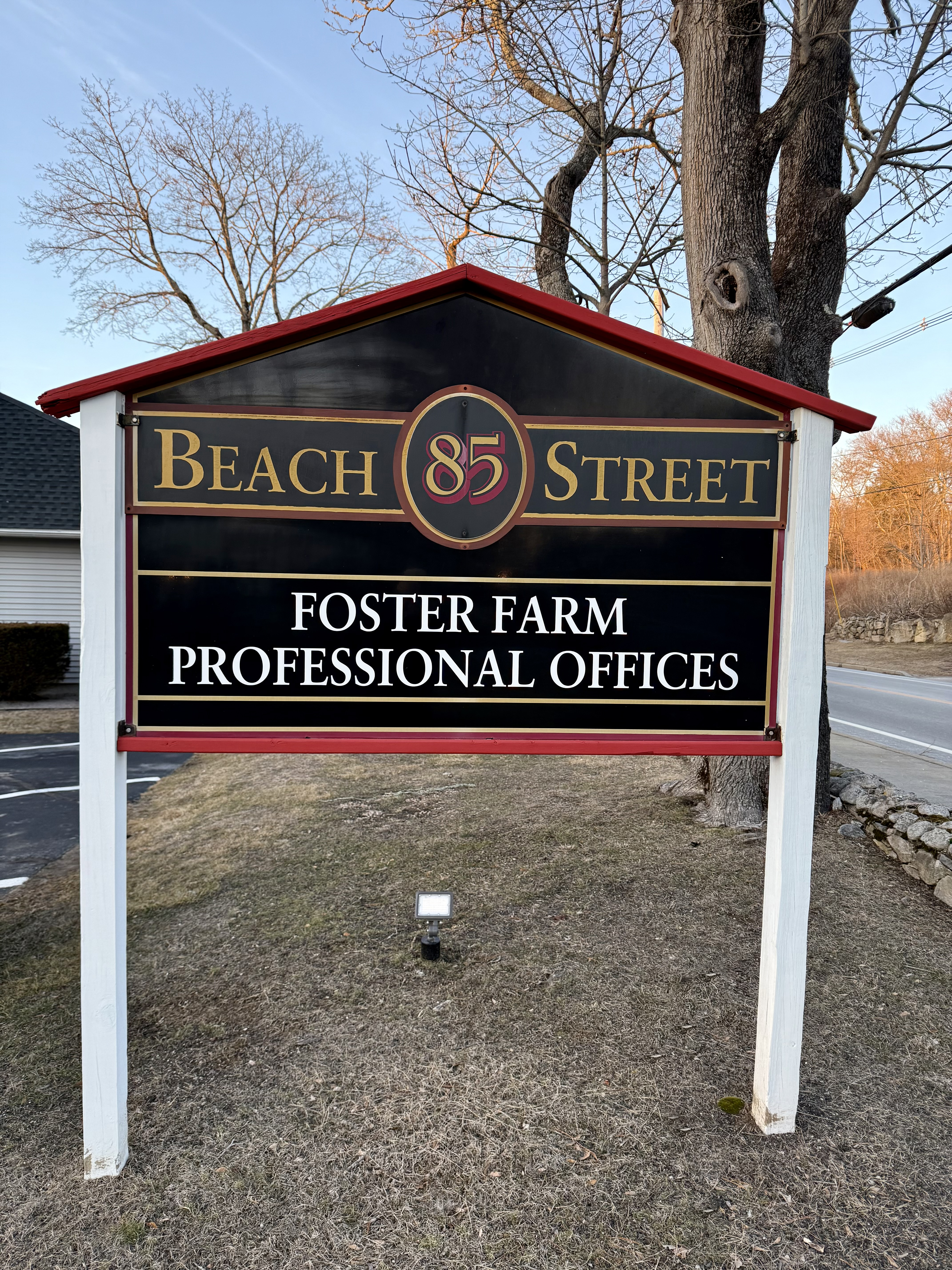 Dante E. Gulino Jr. DDS, MD